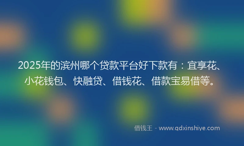 2025年的滨州哪个贷款平台好下款有：宜享花、小花钱包、快融贷、借钱花、借款宝易借等。