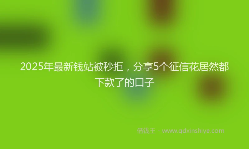 2025年最新钱站被秒拒，分享5个征信花居然都下款了的口子