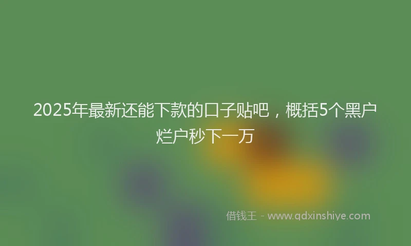 2025年最新还能下款的口子贴吧，概括5个黑户烂户秒下一万