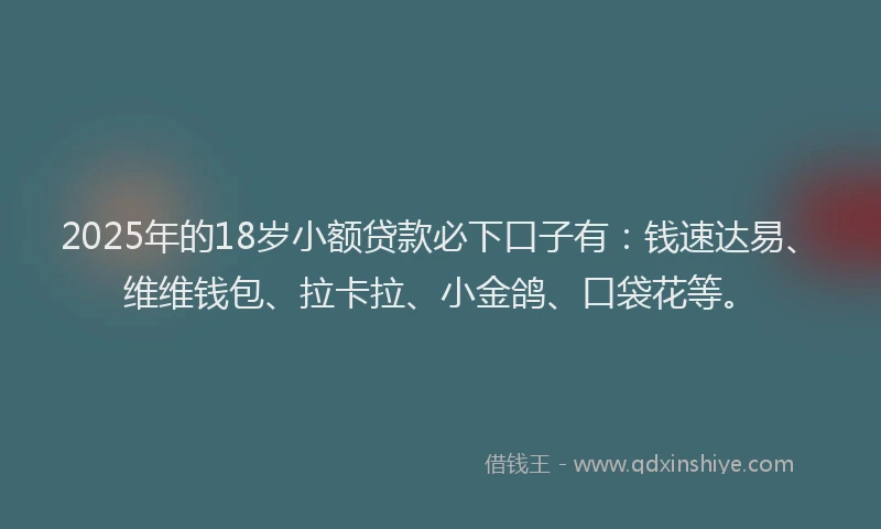 2025年的18岁小额贷款必下口子有：钱速达易、维维钱包、拉卡拉、小金鸽、口袋花等。