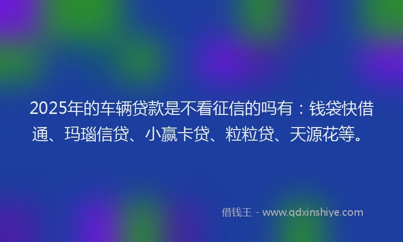 2025年的车辆贷款是不看征信的吗有：钱袋快借通、玛瑙信贷、小赢卡贷、粒粒贷、天源花等。