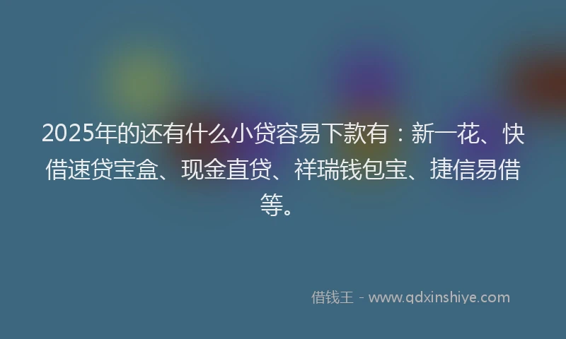 2025年的还有什么小贷容易下款有：新一花、快借速贷宝盒、现金直贷、祥瑞钱包宝、捷信易借等。