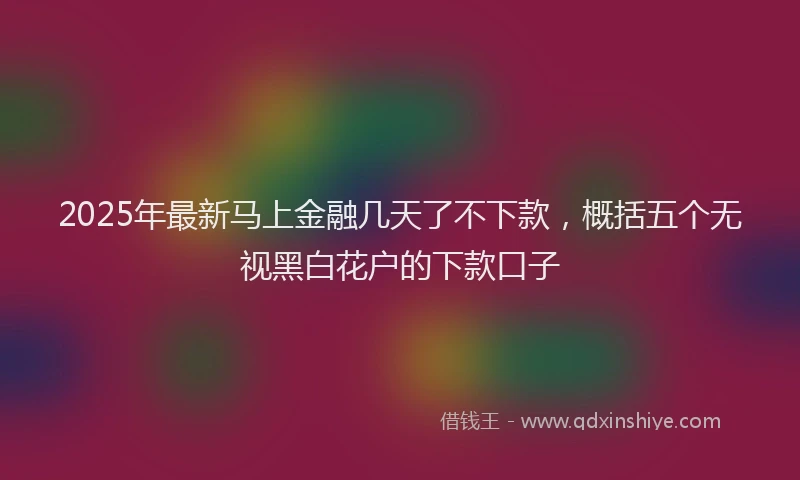 2025年最新马上金融几天了不下款，概括五个无视黑白花户的下款口子