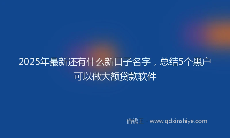 2025年最新还有什么新口子名字，总结5个黑户可以做大额贷款软件