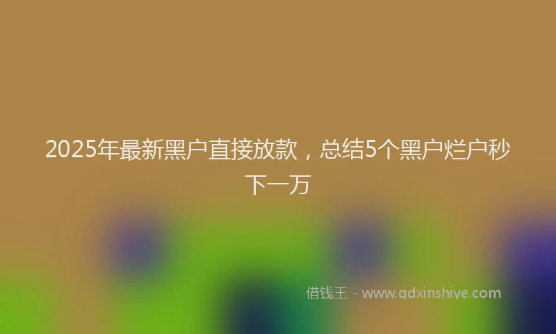 2025年最新黑户直接放款，总结5个黑户烂户秒下一万