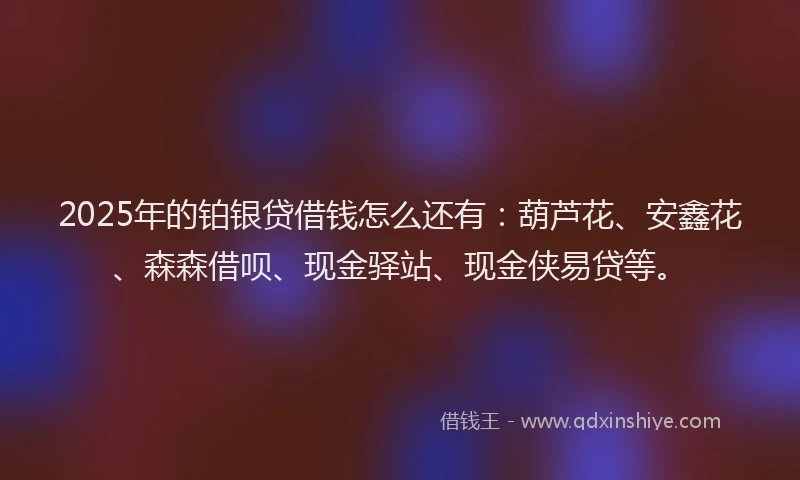 2025年的铂银贷借钱怎么还有：葫芦花、安鑫花、森森借呗、现金驿站、现金侠易贷等。