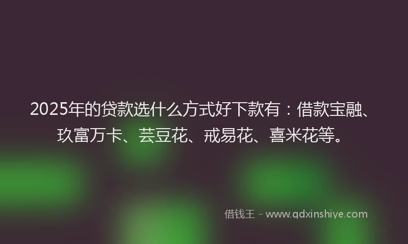 2025年的贷款选什么方式好下款有：借款宝融、玖富万卡、芸豆花、戒易花、喜米花等。