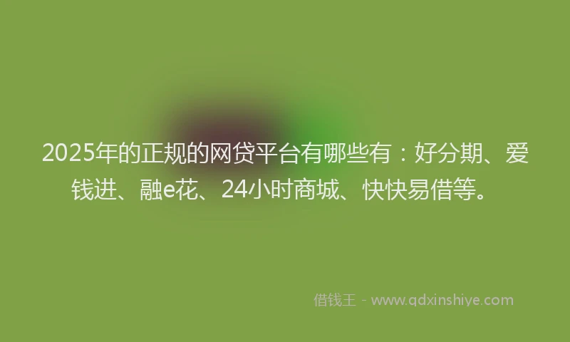 2025年的正规的网贷平台有哪些有：好分期、爱钱进、融e花、24小时商城、快快易借等。