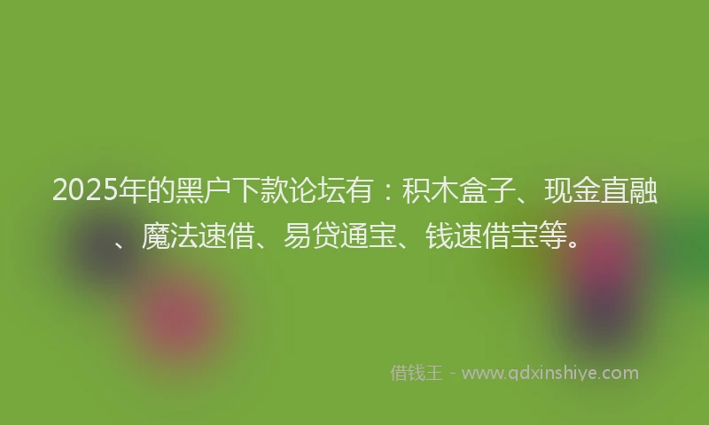 2025年的黑户下款论坛有：积木盒子、现金直融、魔法速借、易贷通宝、钱速借宝等。