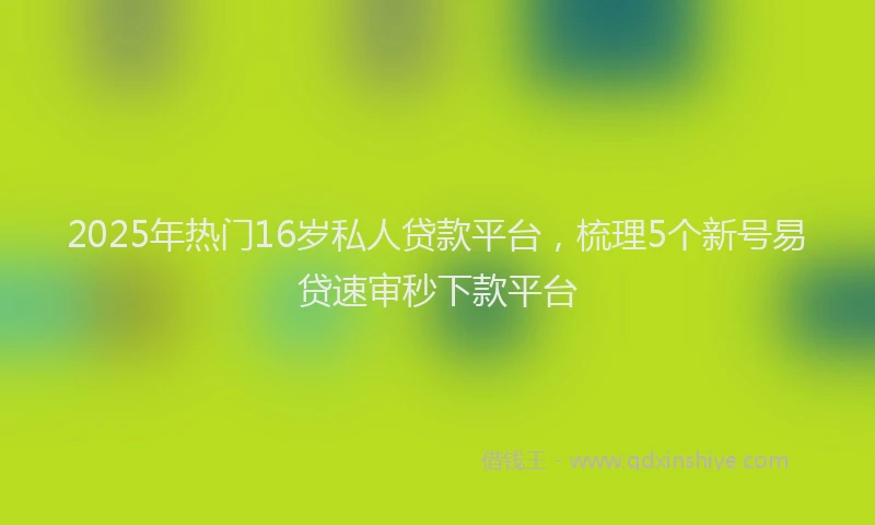 2025年热门16岁私人贷款平台，梳理5个新号易贷速审秒下款平台