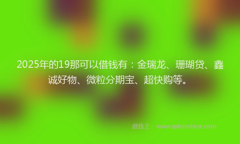 2025年的19那可以借钱有：金瑞龙、珊瑚贷、鑫诚好物、微粒分期宝、超快购等。