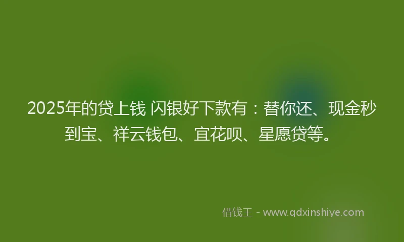 2025年的贷上钱 闪银好下款有：替你还、现金秒到宝、祥云钱包、宜花呗、星愿贷等。