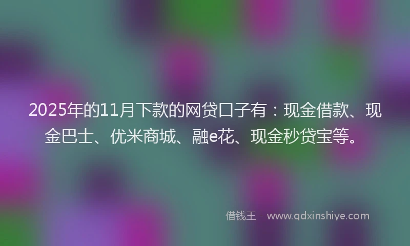 2025年的11月下款的网贷口子有：现金借款、现金巴士、优米商城、融e花、现金秒贷宝等。