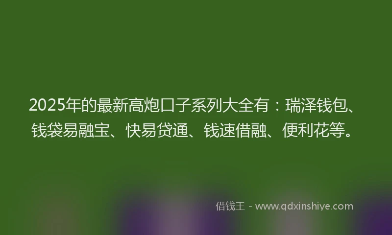 2025年的最新高炮口子系列大全有：瑞泽钱包、钱袋易融宝、快易贷通、钱速借融、便利花等。