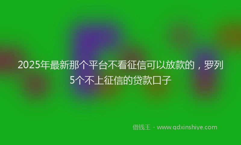 2025年最新那个平台不看征信可以放款的，罗列5个不上征信的贷款口子
