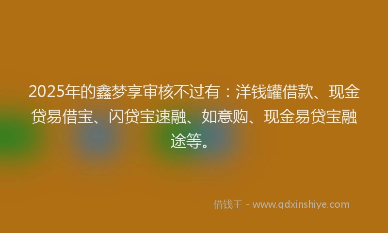 2025年的鑫梦享审核不过有：洋钱罐借款、现金贷易借宝、闪贷宝速融、如意购、现金易贷宝融途等。