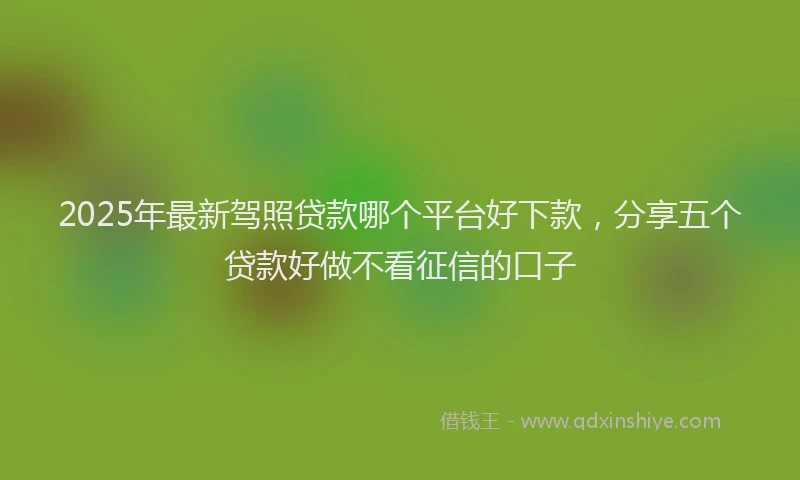 2025年最新驾照贷款哪个平台好下款，分享五个贷款好做不看征信的口子