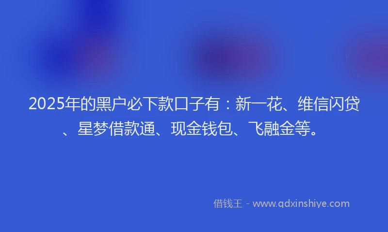 2025年的黑户必下款口子有：新一花、维信闪贷、星梦借款通、现金钱包、飞融金等。