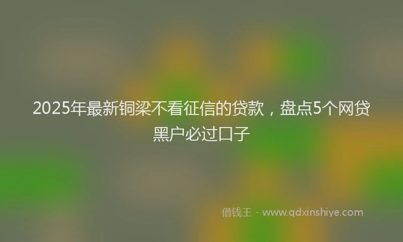 2025年最新铜梁不看征信的贷款，盘点5个网贷黑户必过口子