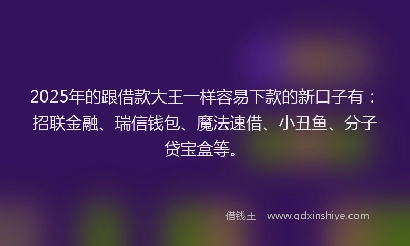 2025年的跟借款大王一样容易下款的新口子有：招联金融、瑞信钱包、魔法速借、小丑鱼、分子贷宝盒等。
