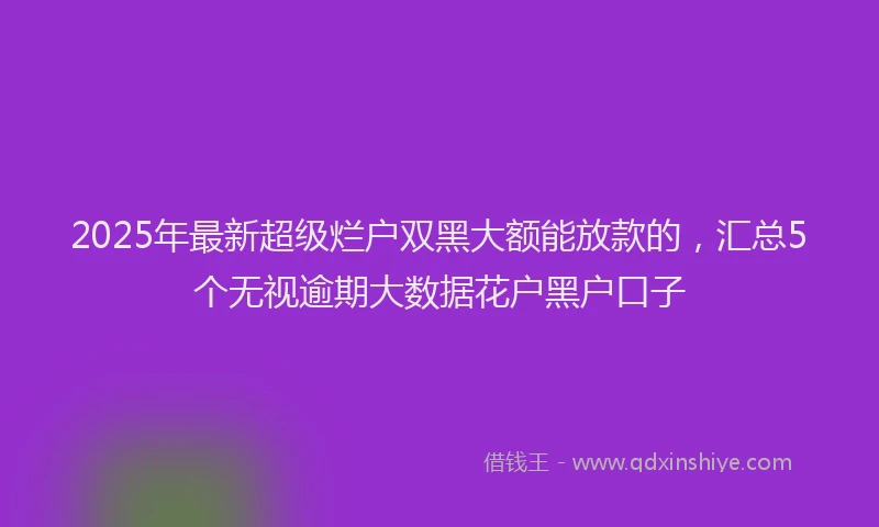 2025年最新超级烂户双黑大额能放款的，汇总5个无视逾期大数据花户黑户口子