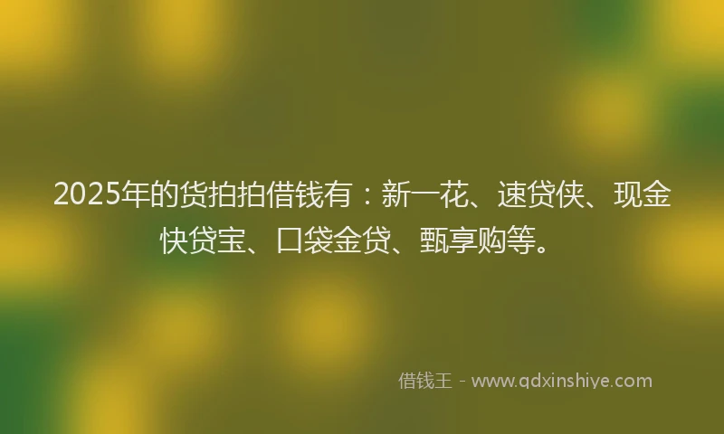 2025年的货拍拍借钱有：新一花、速贷侠、现金快贷宝、口袋金贷、甄享购等。