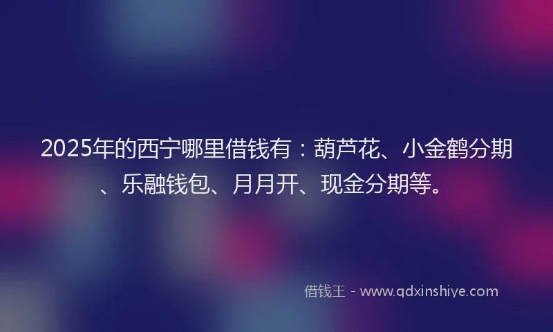 2025年的西宁哪里借钱有：葫芦花、小金鹤分期、乐融钱包、月月开、现金分期等。