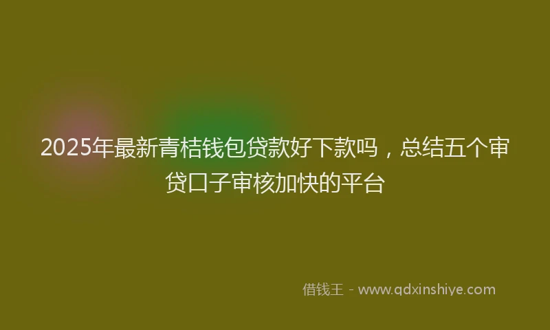 2025年最新青桔钱包贷款好下款吗，总结五个审贷口子审核加快的平台
