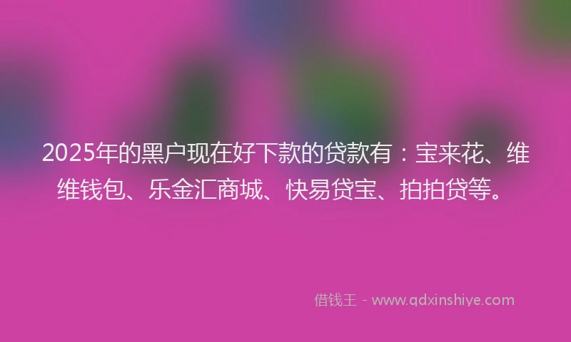 2025年的黑户现在好下款的贷款有：宝来花、维维钱包、乐金汇商城、快易贷宝、拍拍贷等。