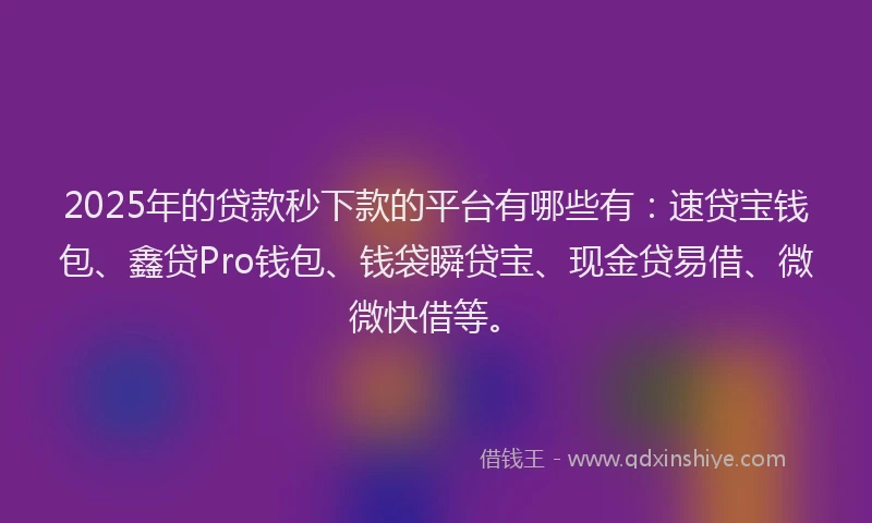 2025年的贷款秒下款的平台有哪些有：速贷宝钱包、鑫贷Pro钱包、钱袋瞬贷宝、现金贷易借、微微快借等。