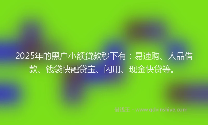 2025年的黑户小额贷款秒下有：易速购、人品借款、钱袋快融贷宝、闪用、现金快贷等。