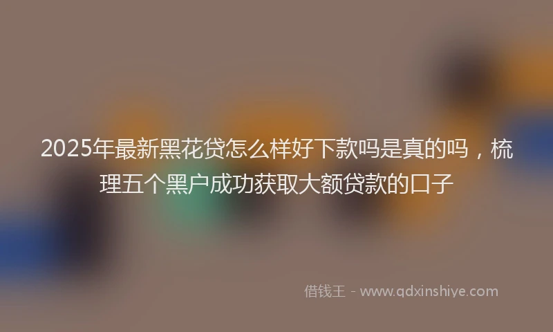 2025年最新黑花贷怎么样好下款吗是真的吗，梳理五个黑户成功获取大额贷款的口子