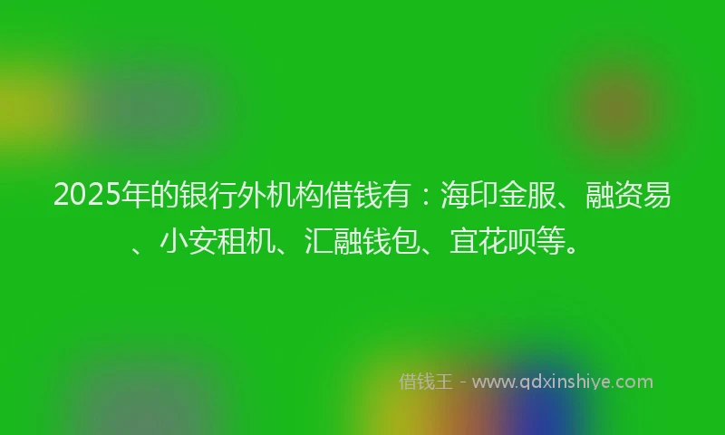 2025年的银行外机构借钱有：海印金服、融资易、小安租机、汇融钱包、宜花呗等。