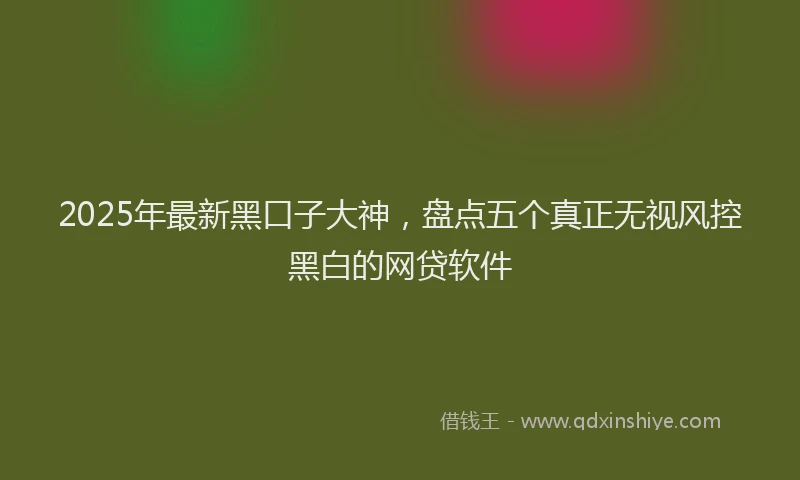 2025年最新黑口子大神，盘点五个真正无视风控黑白的网贷软件