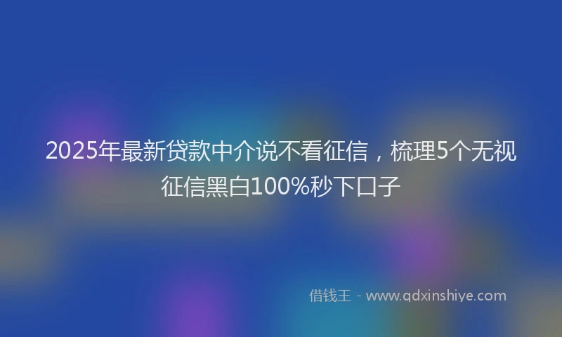 2025年最新贷款中介说不看征信，梳理5个无视征信黑白100%秒下口子