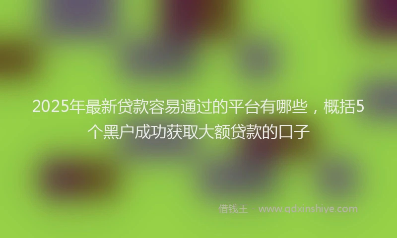 2025年最新贷款容易通过的平台有哪些，概括5个黑户成功获取大额贷款的口子