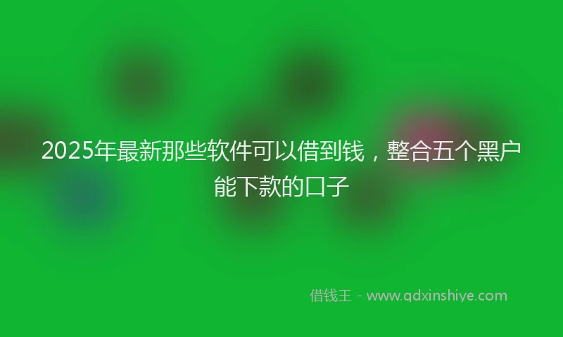 2025年最新那些软件可以借到钱，整合五个黑户能下款的口子