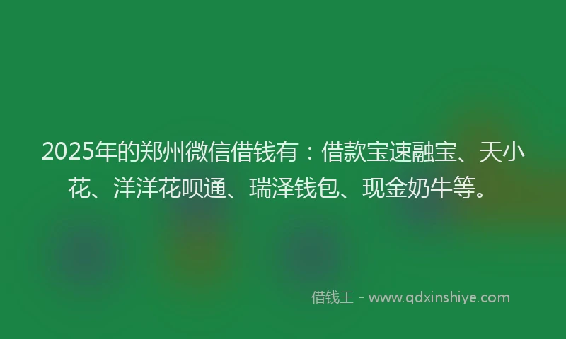 2025年的郑州微信借钱有：借款宝速融宝、天小花、洋洋花呗通、瑞泽钱包、现金奶牛等。