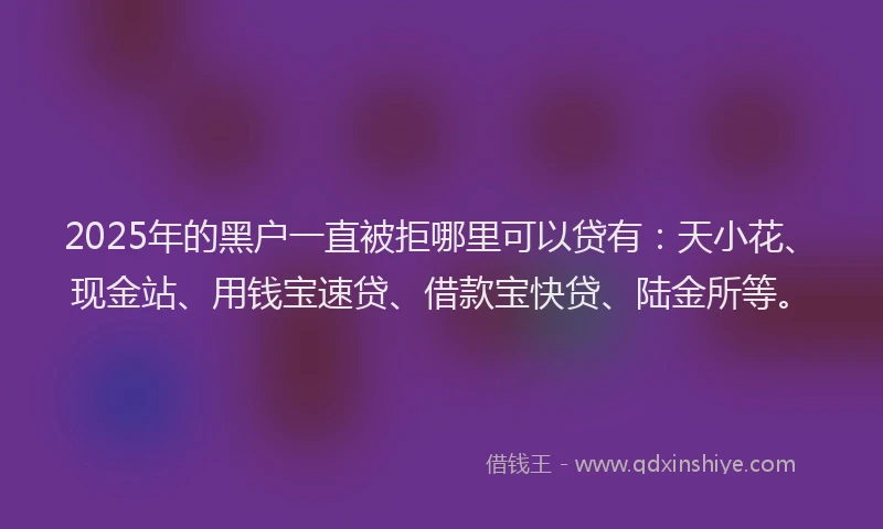 2025年的黑户一直被拒哪里可以贷有：天小花、现金站、用钱宝速贷、借款宝快贷、陆金所等。