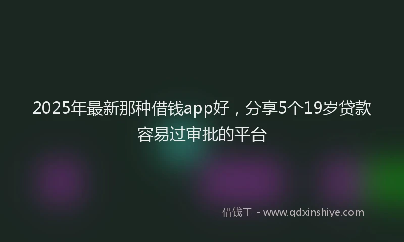 2025年最新那种借钱app好，分享5个19岁贷款容易过审批的平台