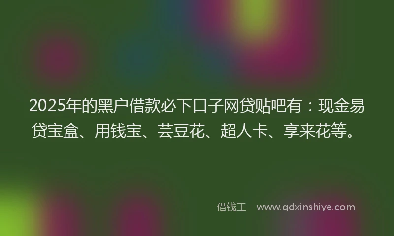 2025年的黑户借款必下口子网贷贴吧有：现金易贷宝盒、用钱宝、芸豆花、超人卡、享来花等。