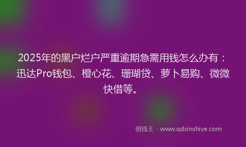 2025年的黑户烂户严重逾期急需用钱怎么办有：迅达Pro钱包、橙心花、珊瑚贷、萝卜易购、微微快借等。