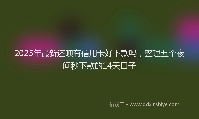 2025年最新还呗有信用卡好下款吗，整理五个夜间秒下款的14天口子
