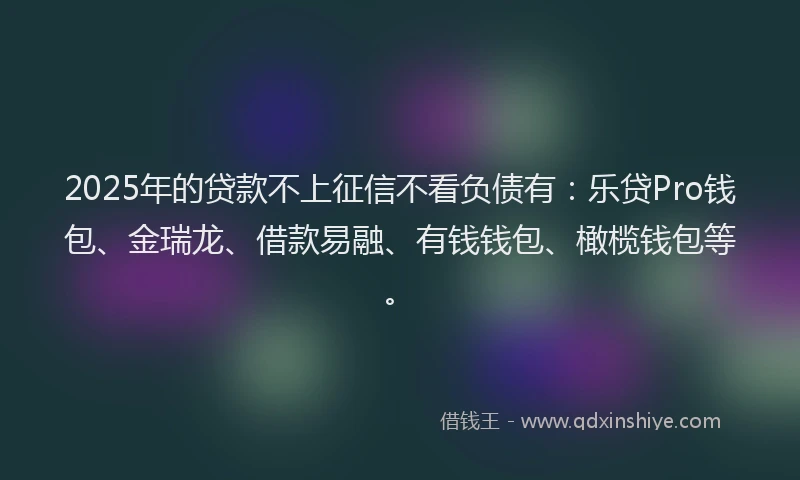 2025年的贷款不上征信不看负债有：乐贷Pro钱包、金瑞龙、借款易融、有钱钱包、橄榄钱包等。
