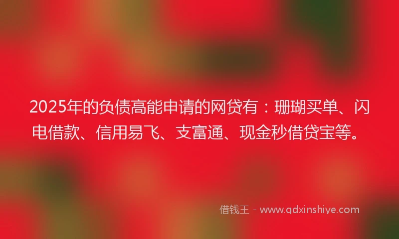 2025年的负债高能申请的网贷有：珊瑚买单、闪电借款、信用易飞、支富通、现金秒借贷宝等。