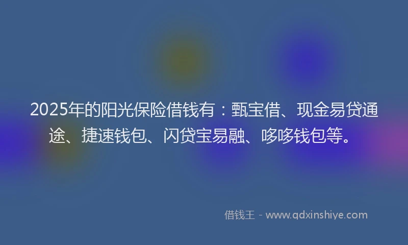 2025年的阳光保险借钱有：甄宝借、现金易贷通途、捷速钱包、闪贷宝易融、哆哆钱包等。
