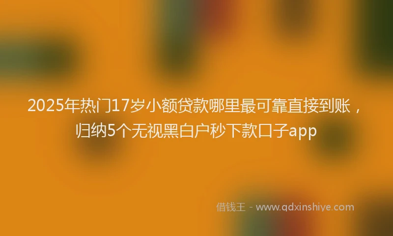 2025年热门17岁小额贷款哪里最可靠直接到账，归纳5个无视黑白户秒下款口子app
