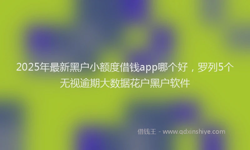 2025年最新黑户小额度借钱app哪个好，罗列5个无视逾期大数据花户黑户软件