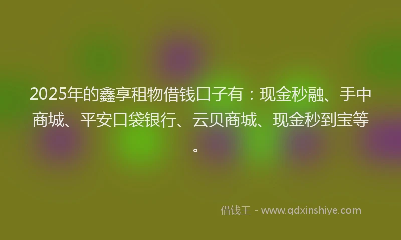 2025年的鑫享租物借钱口子有：现金秒融、手中商城、平安口袋银行、云贝商城、现金秒到宝等。