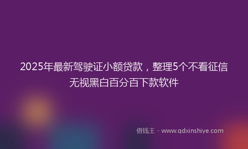 2025年最新驾驶证小额贷款，整理5个不看征信无视黑白百分百下款软件